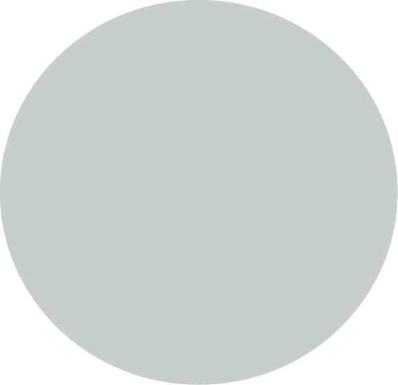Brand color palette for visual identity system
