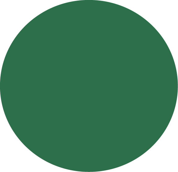 Brand color palette for visual identity system