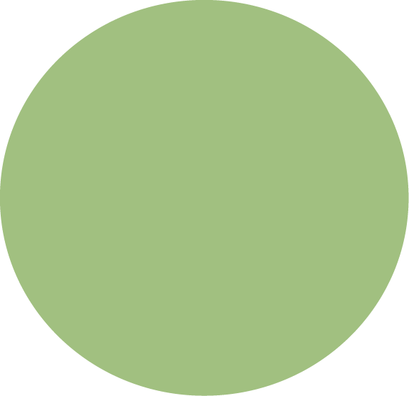 Brand color palette for visual identity system
